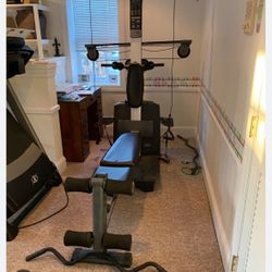  Weider Plantium XP800 Full Body Training