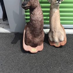Head Collectibles 