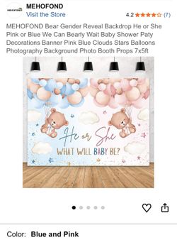 Gender Reveal Backdrop