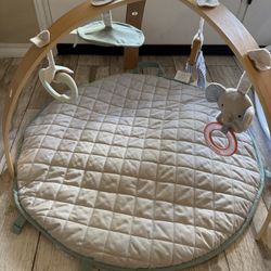 Ingenuity Cozy Activity Gym For Baby 