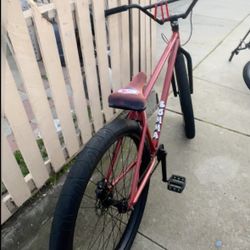 Mafia 29 Inch Pomegranate