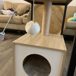 Small Cat House