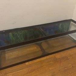 35 Gallon Panoramic Rectangle Fish / ReptileTank