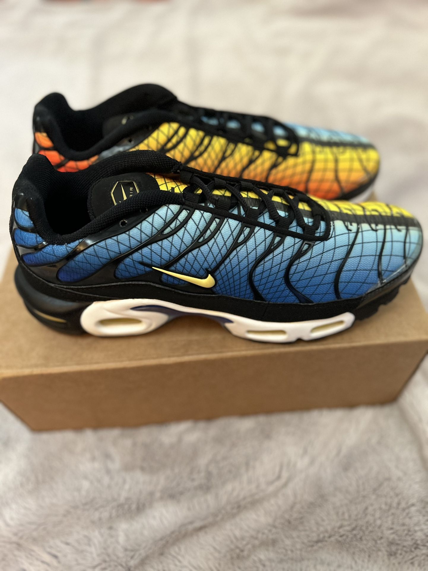 Size 11.5 - Nike Air Max Plus Greedy- VNDS