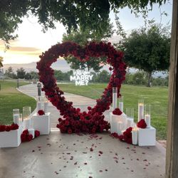 Proposal Set Up