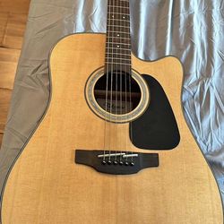 takamine acoustic guitar g series