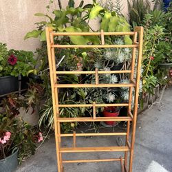 Shoe Rack