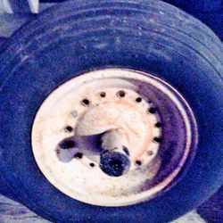 A Radial Front Tire For A Wheelbarrow Or Maybe A Trailer