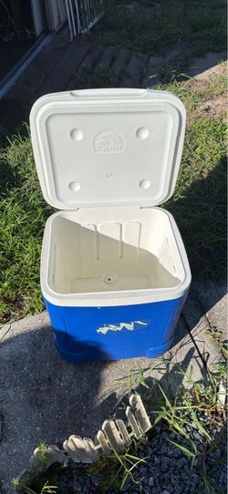 Cooler