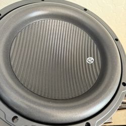 12” Subwoofer 
