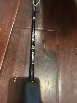 Shimano Terez  fishing rod with a Saltist BG40 reel