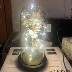 Rose Glass Flower Gift(never Used )