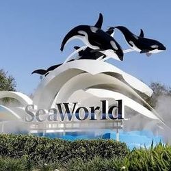 Sea World Orlando