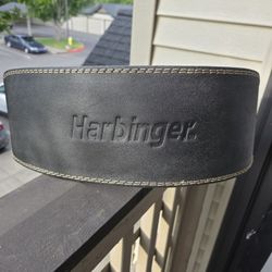 Weight Lifting Belt