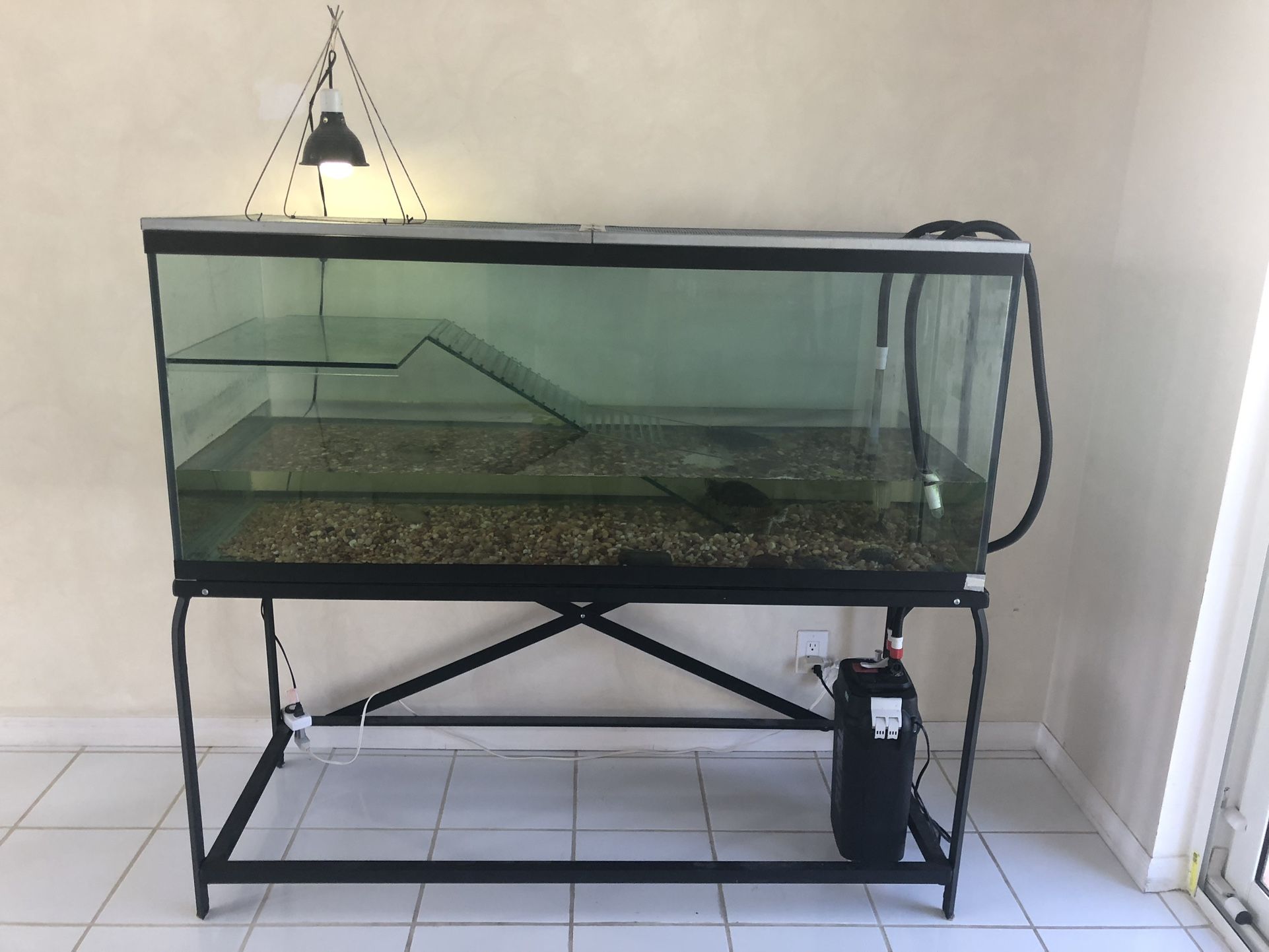 150 Gallon Aquatic Turtle Tank