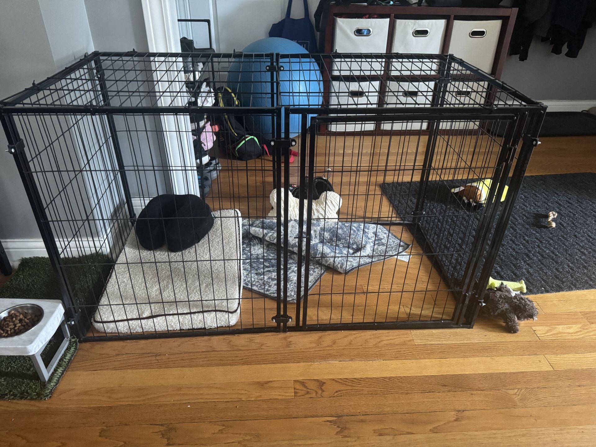 Doggie Cage