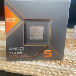 AMD Ryzen 5 8600G 