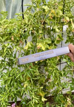 Founders Club FCVI The Judge Tour Putter