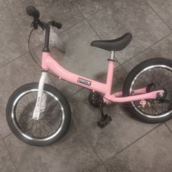 Bike ~ Balancer & Traditional 