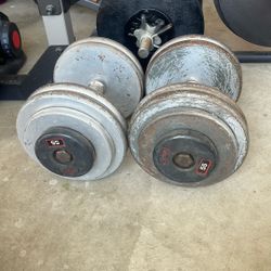 Dumbbells 💪 