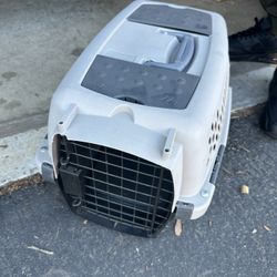 Pet Carrier Kettle 