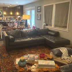 Article Sven Left Chaise Couch For Sale 100 Inches