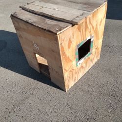 Small Dog House 