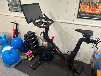 2019 Peloton for sale
