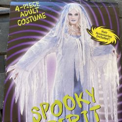 Halloween Spooky Spirit Costume 