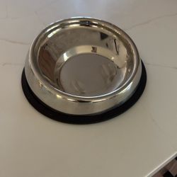 Dog Bowl