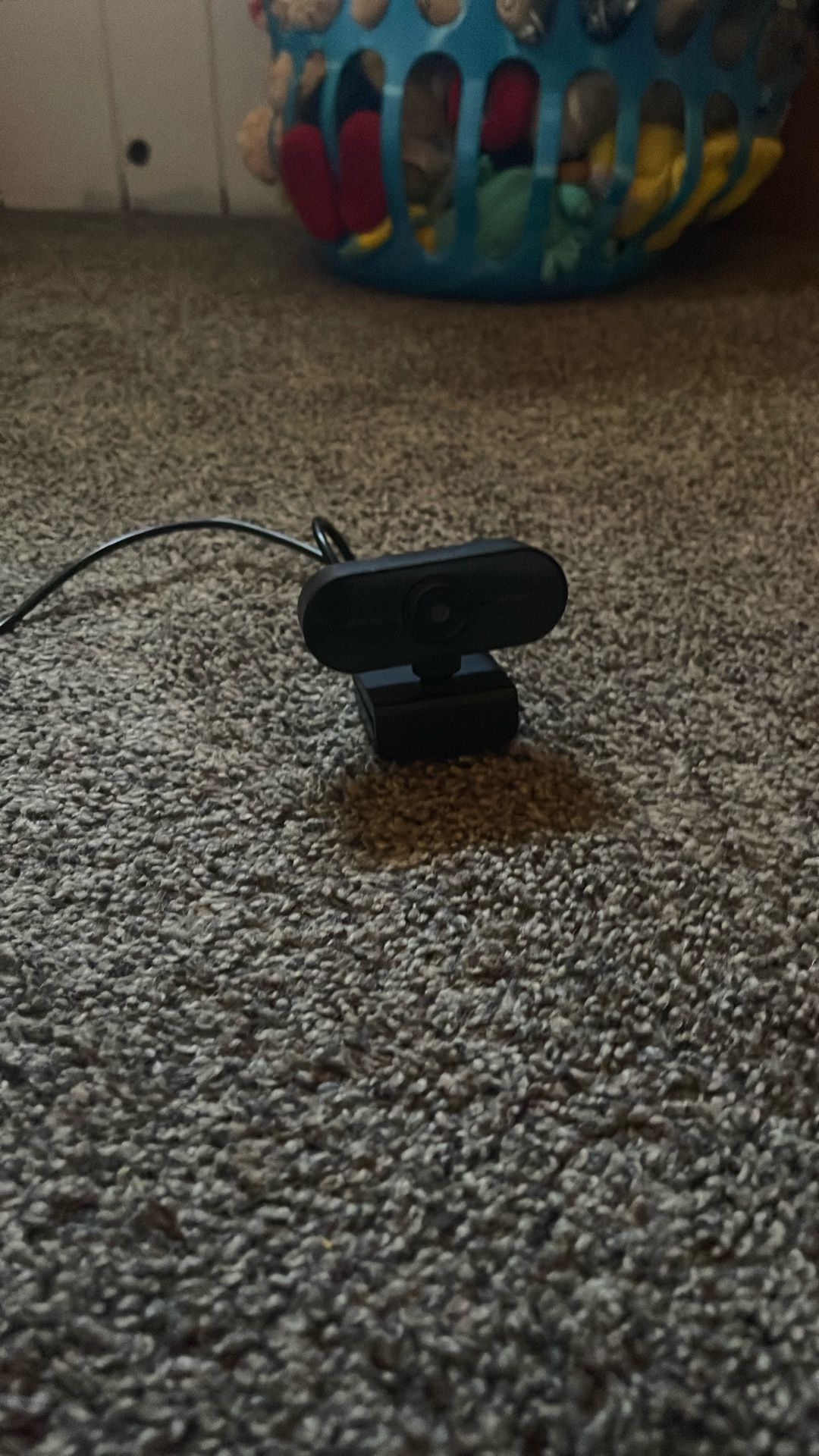 HD Web Cam