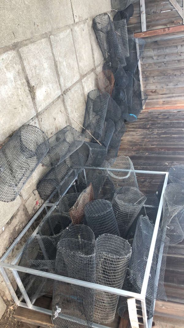 Crawdad traps for sale for Sale in Sacramento, CA OfferUp