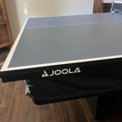 Ping Pong Table