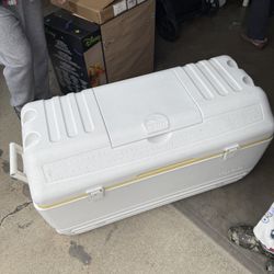 Igloo Cooler