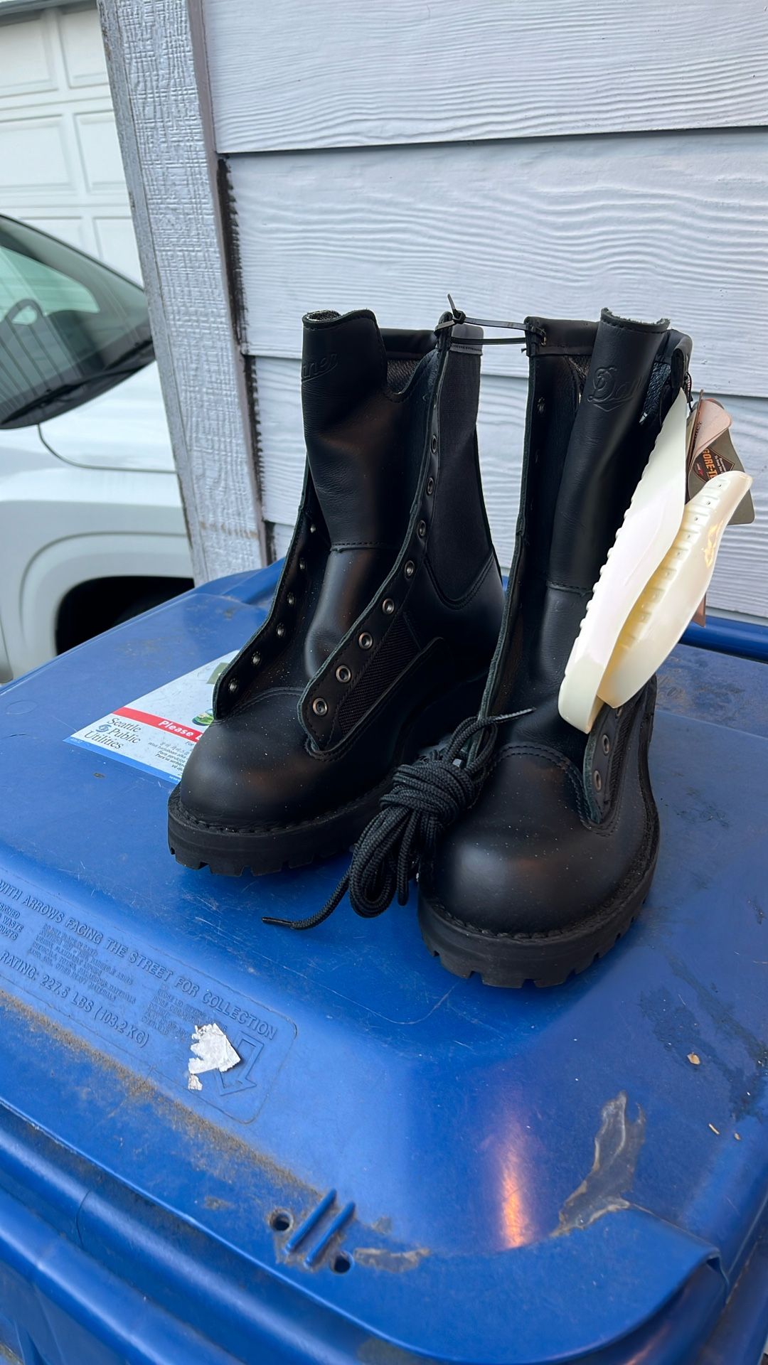 Danner Acadia Boots