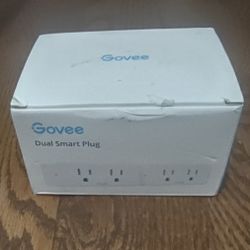 Govee Dual Smart Plug New