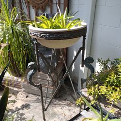 Bird Bath