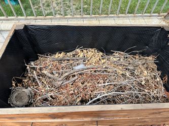 Raised Gardening Beds 