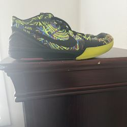 Kobe 6