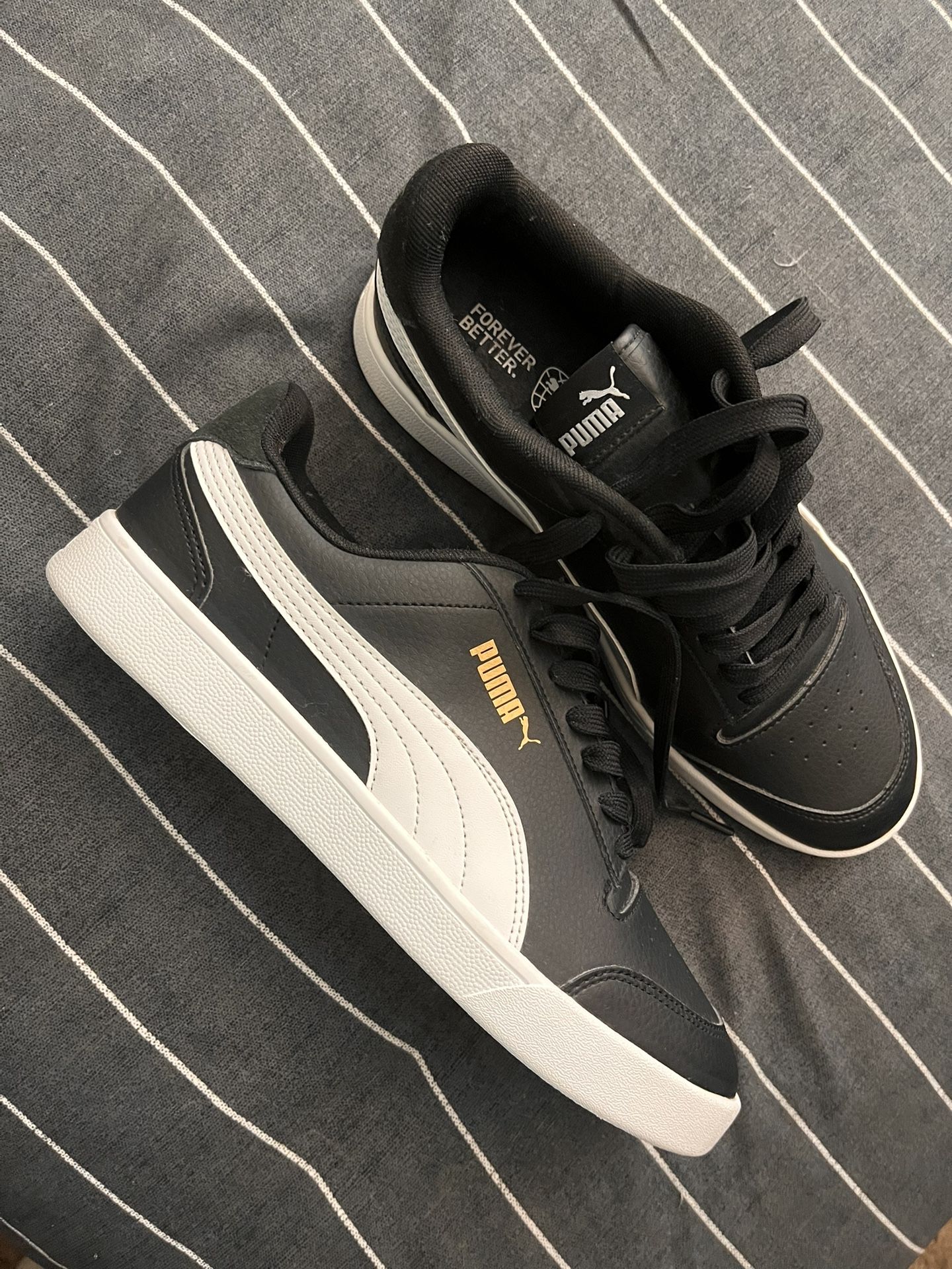 PUMAS
