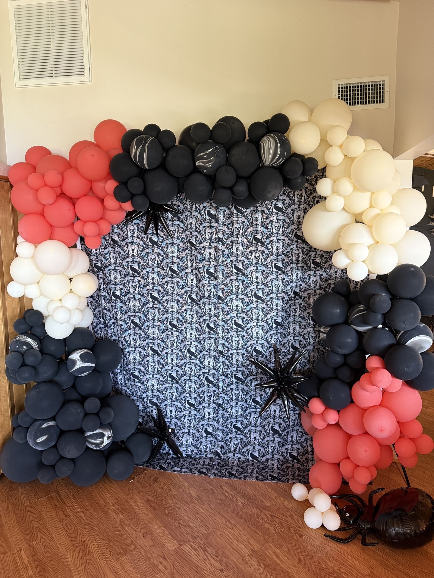 Balloon Arch - used/1 day old