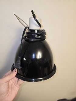 Reptile Lamp