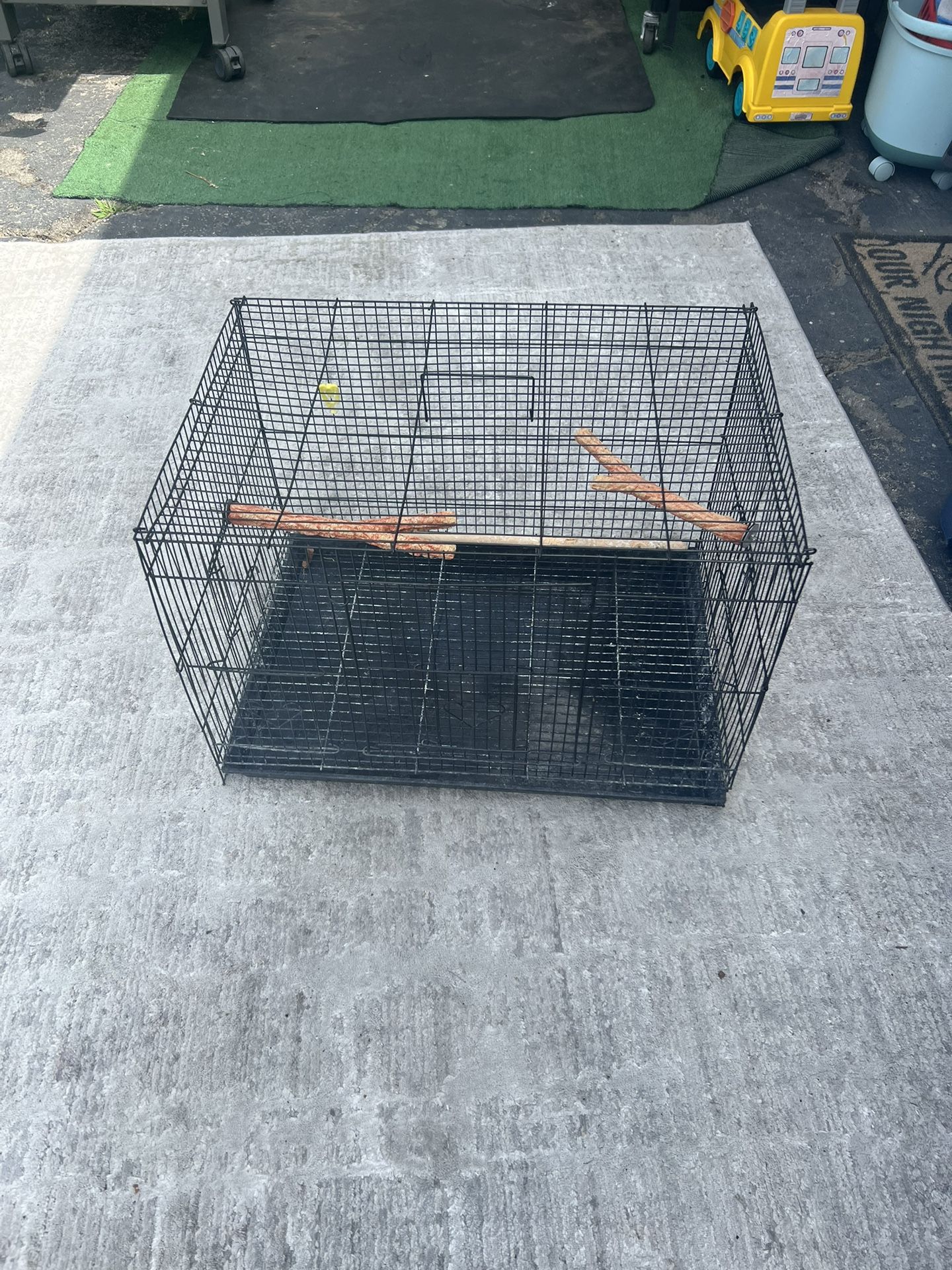 Bird Cage