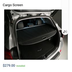 Cargo Screen