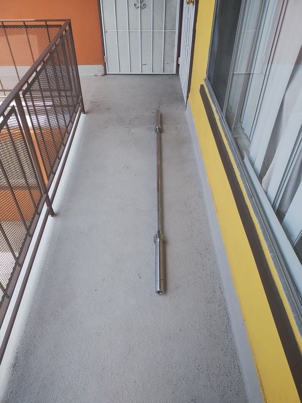 barbell ~45lbs