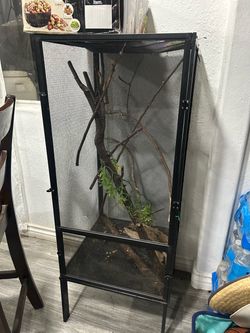 Chameleon cage