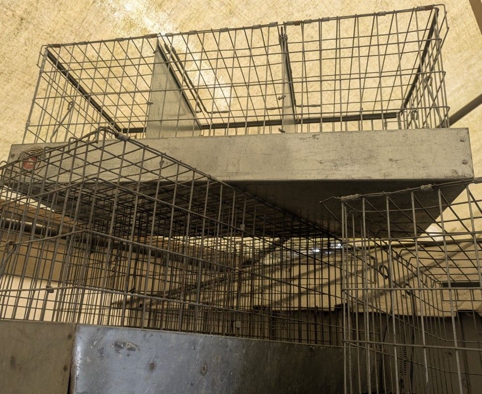 Transport Cages For Rabbits