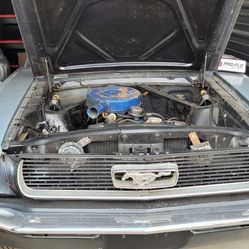 1966 Ford Mustang 
