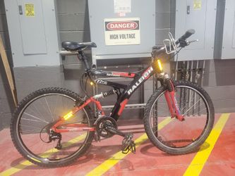 Mountain Raleigh Bike
