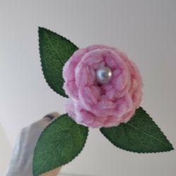 Pink Valentine's Day Roses